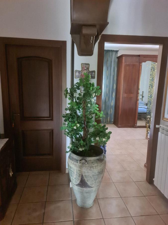 Novadomus Otel Corfinio Dış mekan fotoğraf
